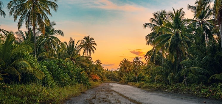 Chasing Paradise: Where Luxury Meets Adventure in the Caribbean